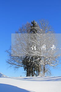 信用卡逾期后还款注销卡片 信用卡逾期后还款注销卡片
