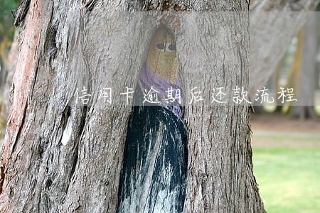 信用卡逾期后还款流程 信用卡逾期后还款流程
