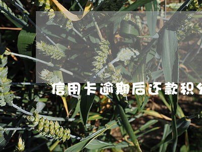 信用卡逾期后还款积分清零 信用卡逾期后还款积分清零
