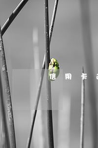 信用卡逾期后还款要结账证明嘛 信用卡逾期后还款要结账证明嘛