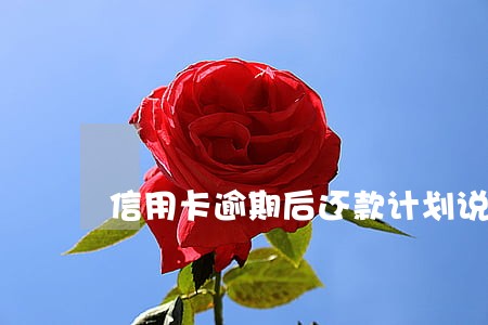 信用卡逾期后还款计划说明范本