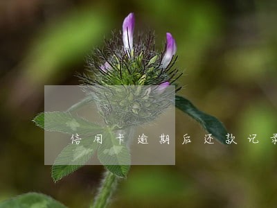 信用卡逾期后还款记录不好 信用卡逾期后还款记录不好