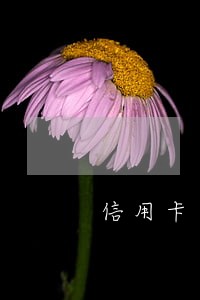 信用卡逾期后还款还会有额度吗 信用卡逾期后还款还会有额度吗