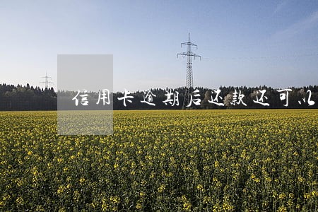 信用卡逾期后还款还可以刷吗