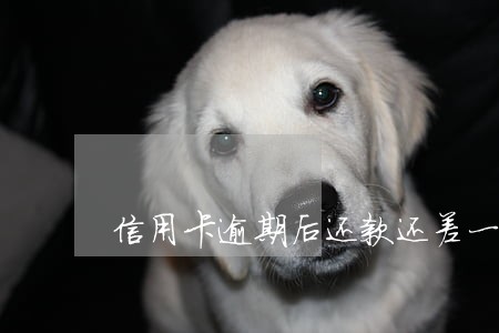 信用卡逾期后还款还差一千 信用卡逾期后还款还差一千