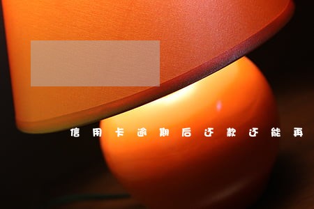 信用卡逾期后还款还能再申请吗 信用卡逾期后还款还能再申请吗