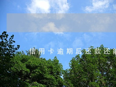 信用卡逾期后还款还能用不 信用卡逾期后还款还能用不