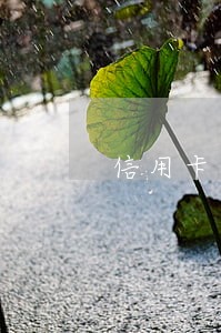 信用卡逾期后还款通道关闭 信用卡逾期后还款通道关闭