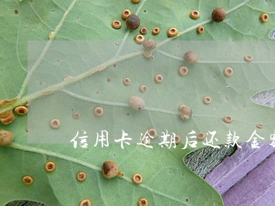 信用卡逾期后还款金额越来越多 信用卡逾期后还款金额越来越多