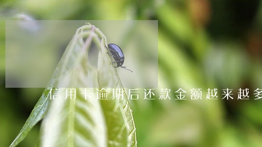 信用卡逾期后还款金额越来越多了