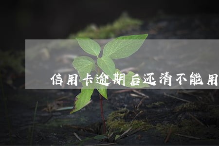 信用卡逾期后还清不能用 信用卡逾期后还清不能用