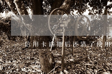 信用卡逾期后还清了使用不了 信用卡逾期后还清了使用不了