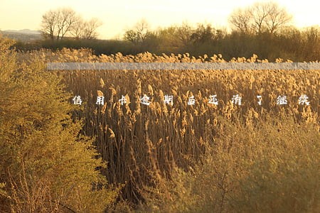 信用卡逾期后还清了继续使用 信用卡逾期后还清了继续使用