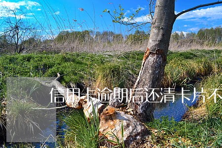 信用卡逾期后还清卡片不能用了 信用卡逾期后还清卡片不能用了