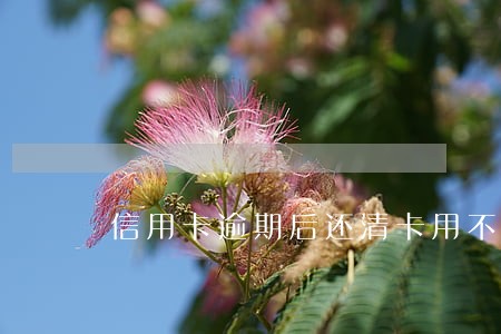 信用卡逾期后还清卡用不了 信用卡逾期后还清卡用不了