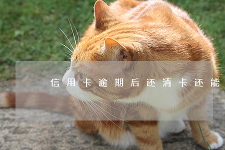 信用卡逾期后还清卡还能用吗 信用卡逾期后还清卡还能用吗