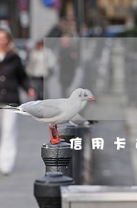 信用卡逾期后还清可以不注销吗