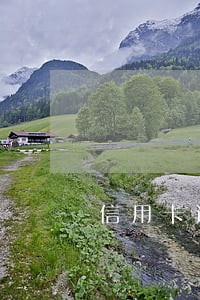 信用卡逾期后还清失效 信用卡逾期后还清失效