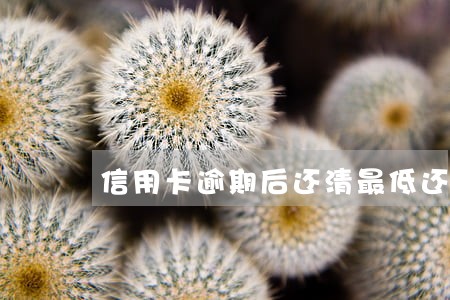 信用卡逾期后还清最低还款额 信用卡逾期后还清最低还款额