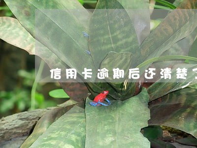 信用卡逾期后还清楚了多久才能办 信用卡逾期后还清楚了多久才能办