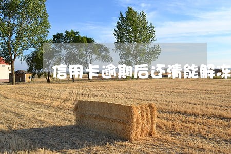 信用卡逾期后还清能解冻