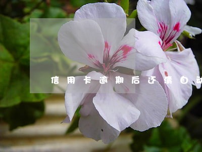 信用卡逾期后还清自动注销