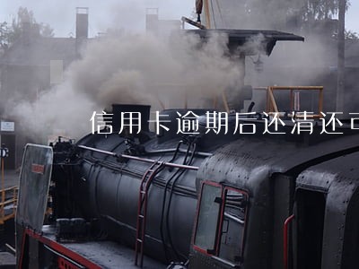 信用卡逾期后还清还可以使用吗 信用卡逾期后还清还可以使用吗