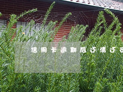 信用卡逾期后还清还可以坐飞机吗 信用卡逾期后还清还可以坐飞机吗