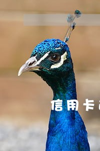 信用卡逾期后还清还能恢复使用吗 信用卡逾期后还清还能恢复使用吗