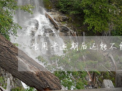 信用卡逾期后还能不能刷