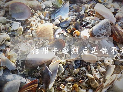 信用卡逾期后还能不能办分期