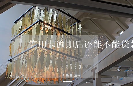 信用卡逾期后还能不能贷款