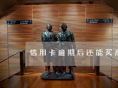 信用卡逾期后还能买高铁票吗