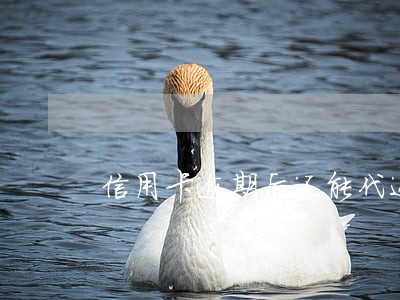 信用卡逾期后还能代还吗