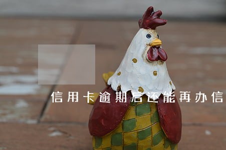 信用卡逾期后还能再办信用卡吗 信用卡逾期后还能再办信用卡吗