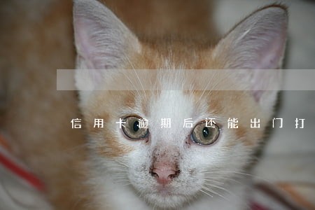 信用卡逾期后还能出门打工嘛 信用卡逾期后还能出门打工嘛