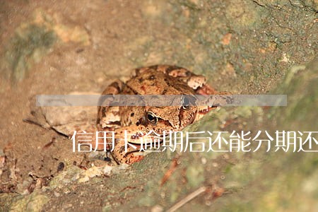 信用卡逾期后还能分期还吗 信用卡逾期后还能分期还吗