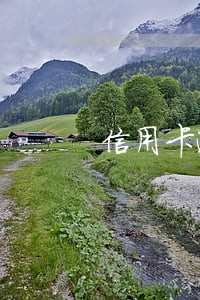 信用卡逾期后还能办护照吗 信用卡逾期后还能办护照吗