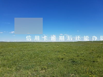信用卡逾期后还能办捷信么