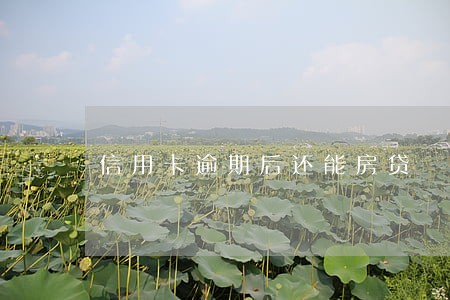 信用卡逾期后还能房贷 信用卡逾期后还能房贷
