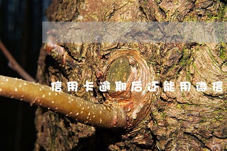 信用卡逾期后还能用微信还吗 信用卡逾期后还能用微信还吗