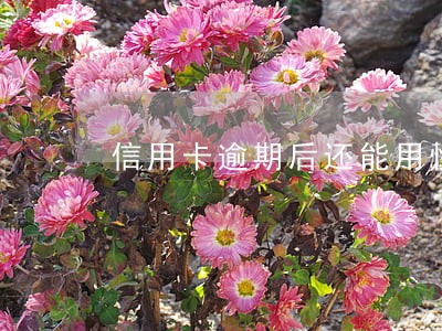 信用卡逾期后还能用快捷支付吗