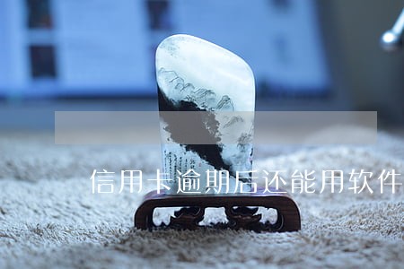 信用卡逾期后还能用软件代还吗 信用卡逾期后还能用软件代还吗