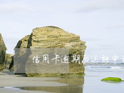 信用卡逾期后还能申请还呗不 信用卡逾期后还能申请还呗不