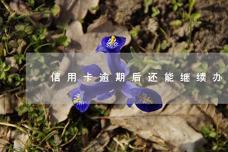 信用卡逾期后还能继续办