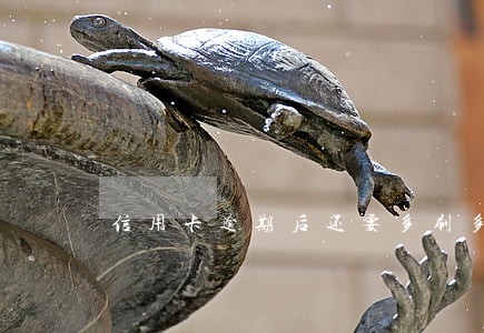 信用卡逾期后还要多刷多久才行 信用卡逾期后还要多刷多久才行
