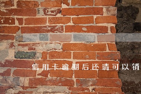 信用卡逾期后还请可以销卡吗 信用卡逾期后还请可以销卡吗