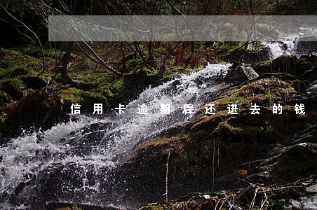 信用卡逾期后还进去的钱是本金吗 信用卡逾期后还进去的钱是本金吗