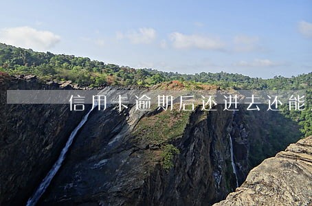 信用卡逾期后还进去还能用吗 信用卡逾期后还进去还能用吗