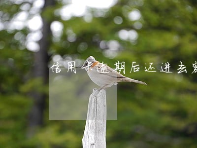 信用卡逾期后还进去额度还有吗 信用卡逾期后还进去额度还有吗